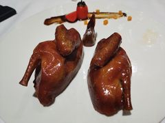 -千灯盛汇·头牌粤菜(致越优城店)