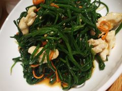 果仁野沙葱-九十九顶毡房(阜石路店)