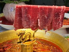 -小龙翻大江文化火锅(宽窄店)