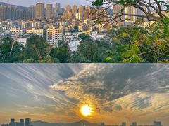-炮台山公园