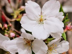 -龙美术馆(西岸馆)