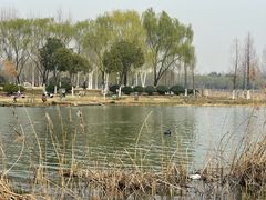 -滨湖塘西河公园