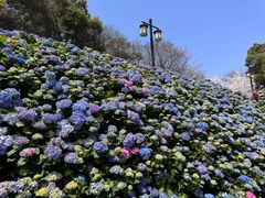 -苏州上方山国家森林公园