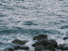 -广东惠东海龟国家级自然保护区