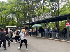 -灵谷景区