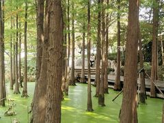 -云龙湖旅游景区