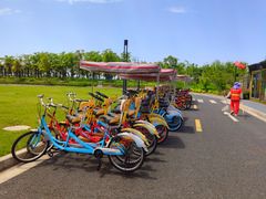 -春花秋色城市公园