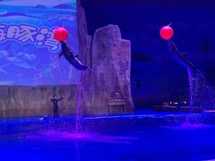 -华夏文旅海洋公园