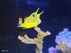 -上海海洋水族馆