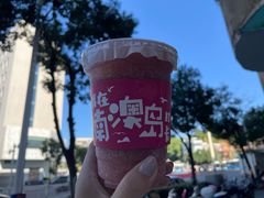 -南澳岛打卡果汁冰公司