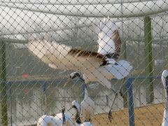 -盐城丹顶鹤湿地生态旅游区