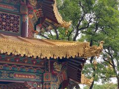 -护国法轮寺