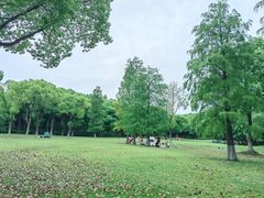 -新洲生态园