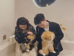 -More Fun猫咖 二十只万元加菲主题