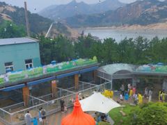 -西霞口神雕山野生动物世界