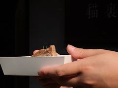 -猫里有甜