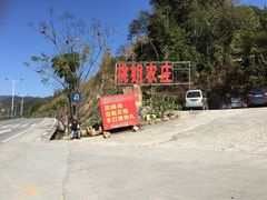 桃姐农庄-桃姐农庄老字号(从化温泉店)