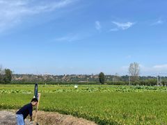 -林间山庄