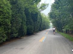 -渡海小渔村.老辈日照菜