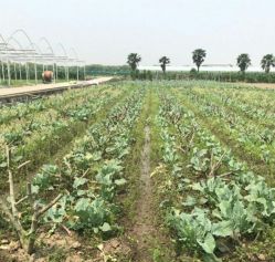 点击看大图 -麦粒鸟亲子游