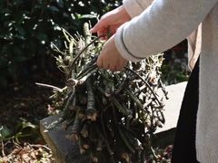 -觉藏茶社(博地影秀城店)