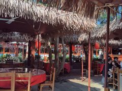 -福山迈臣农家乐