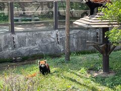 -沈阳森林动物园