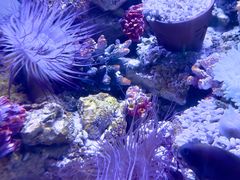 -海合安武汉极地海洋公园