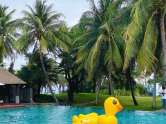 -海南清水湾莱佛士酒店