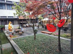 点击看大图 -保丽宝泰母婴护理院·月子中心·产康·中医(常州店)