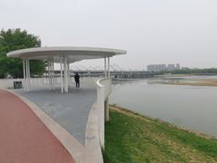 -灞河西岸滨河公园