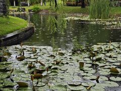 -宁波九龙湖开元度假村