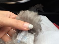 -北京赛佳动物医院