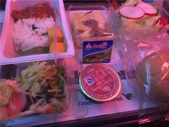 -达拉斯 沃斯堡国际机场