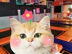 -VFSC极限蹦床主题公园(乐园道彩悦城阳光店)