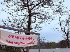 -趣多多宠物公园·宠物训犬学校·宠物寄养