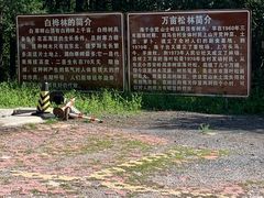 -白草畔自然风景区