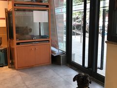 -帕帕拉兹宠物(亚洲旗舰店)