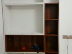 -佰丽爱家全屋定制(汶水店)