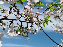 -东山风景区(洞庭东山)