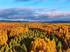 -塞罕坝国家级自然保护区