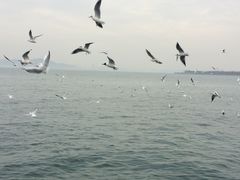 iphone_upload_pic-栈桥景区