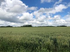 -Phở Bánh Cuốn 14