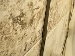 -上海光大会展中心国际大酒店