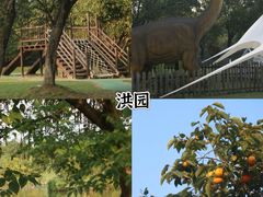 -西溪国家湿地公园