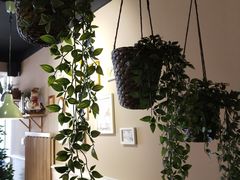 -Deer Park鹿园西餐(仁恒置地广场店)