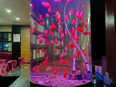 -上島咖啡(安亭店)