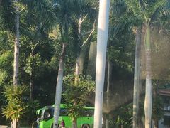 -深圳仙湖植物园
