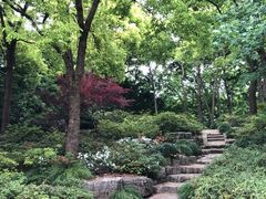 -上海滨江森林公园