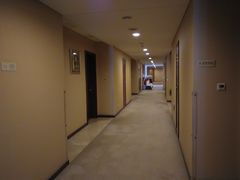 -南京国际博览中心酒店
